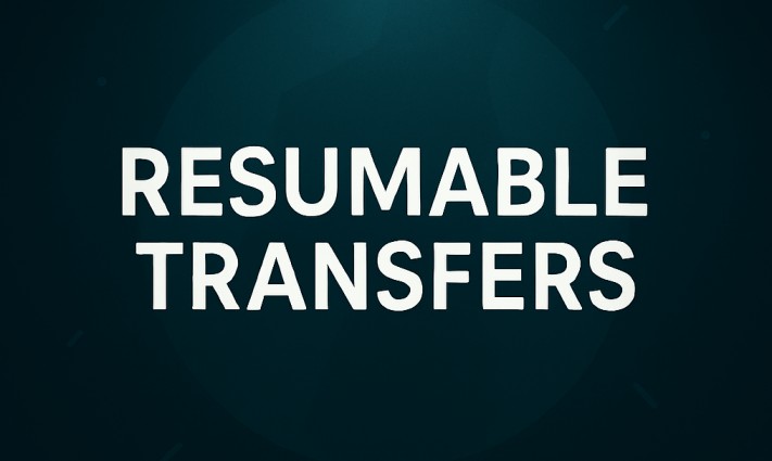 Never Lose Your Transfer Progress Again with Resumable Transfers